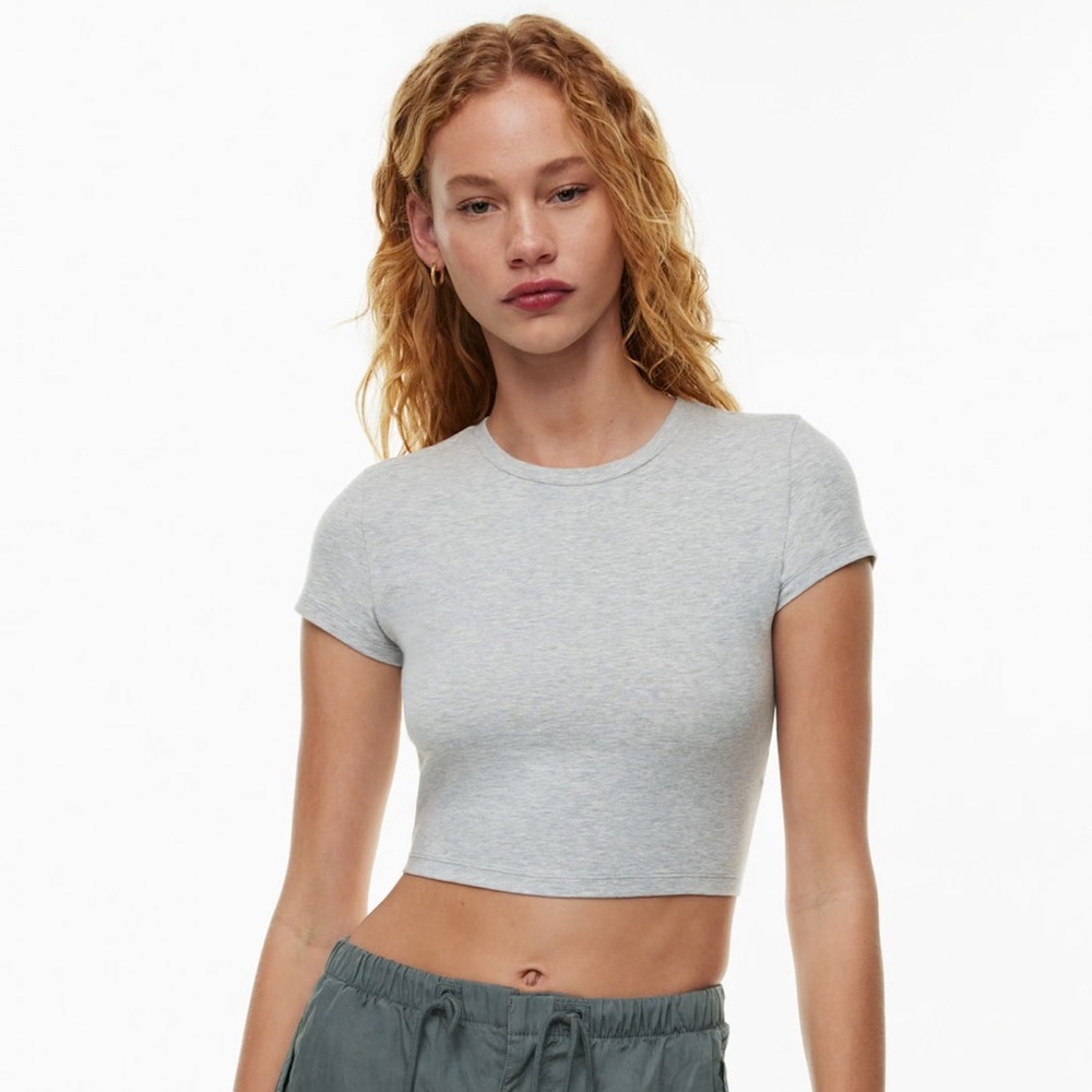 ARITZIA | TNA Chill Ortiz Cropped T-Shirt in Heather Chrome